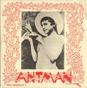 Antman cover